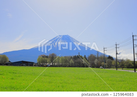 朝霧高原與富士山 / 靜岡縣富士宮市 125964083