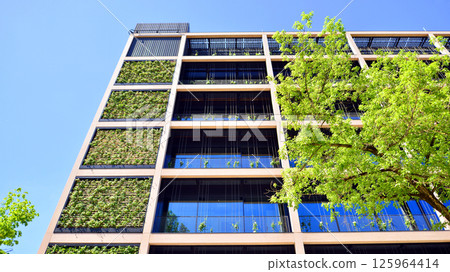 Modern city eco office building with tree. Detail shot of modern architecture facade,business concepts. Environment. Modern building and trees, double exposure. Modern city eco office building with tree. Detail shot of modern architecture facade,business concepts. Environment. Modern building and trees, double exposure. 125964414