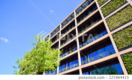 Modern city eco office building with tree. Detail shot of modern architecture facade,business concepts. Environment. Modern building and trees, double exposure. Modern city eco office building with tree. Detail shot of modern architecture facade,business concepts. Environment. Modern building and trees, double exposure. 125964415