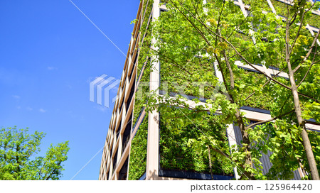 Modern city eco office building with tree. Detail shot of modern architecture facade,business concepts. Environment. Modern building and trees, double exposure. 125964420