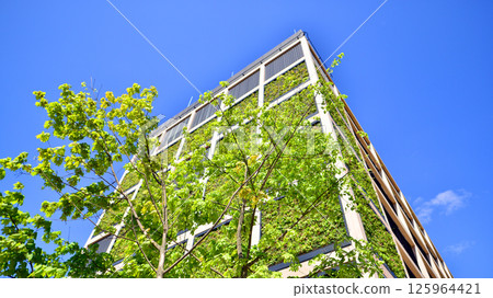 Modern city eco office building with tree. Detail shot of modern architecture facade,business concepts. Environment. Modern building and trees, double exposure. 125964421