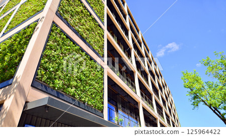 Modern city eco office building with tree. Detail shot of modern architecture facade,business concepts. Environment. Modern building and trees, double exposure. 125964422