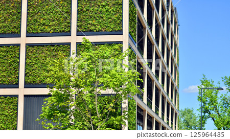 Modern city eco office building with tree. Detail shot of modern architecture facade,business concepts. Environment. Modern building and trees, double exposure. 125964485