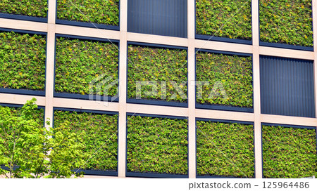 Modern city eco office building with tree. Detail shot of modern architecture facade,business concepts. Environment. Modern building and trees, double exposure. 125964486