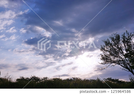 廣闊的藍天和白雲中的植物陰影 125964586