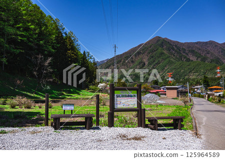 松本市上海犬牙紫羅蘭聚落 125964589