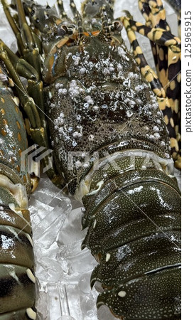 night market foodseafood lobsters on ice mussels shells and barbecue kebabs variety of food vertical photo Asia Thailand Vietnam 125965915