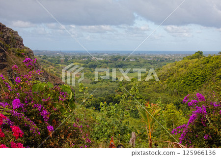 考艾島懷陸阿河州立公園 125966136