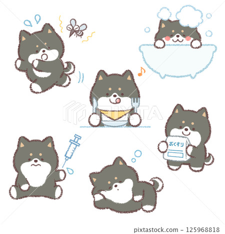 黑色柴犬變異套裝 125968818