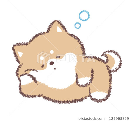 Shiba Inu睡覺 125968839