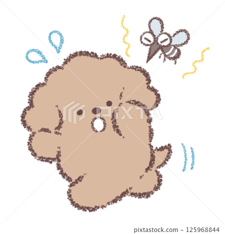 玩具貴賓犬躲避蚊子 125968844