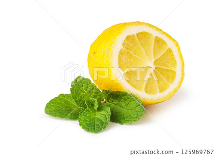 Fresh mint leaves resting on sliced lemons on white background Fresh mint leaves resting on sliced lemons on white background 125969767