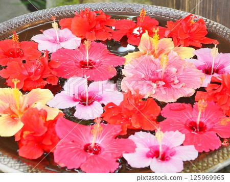 點亮沖繩夏季的鳥頭花和清爽的度假勝地風景 點亮沖繩夏季的鳥頭花和清爽的度假勝地風景 125969965