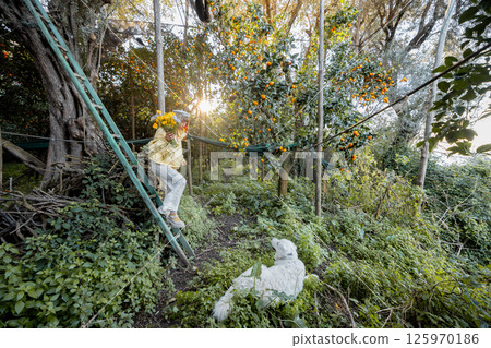 Among Citrus and Sunlight Among Citrus and Sunlight 125970186