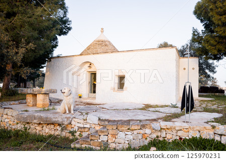 Trullo House with Dog at Sunset Trullo House with Dog at Sunset 125970231