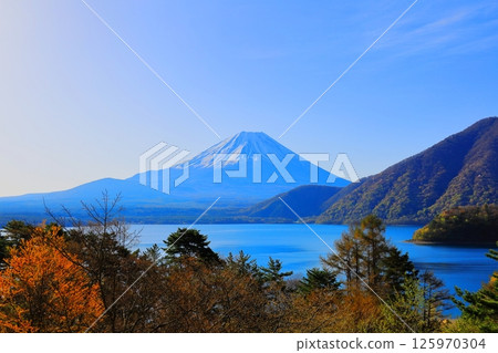 富士山和本棲 125970304