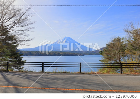 Mount Fuji and Motosu 125970306