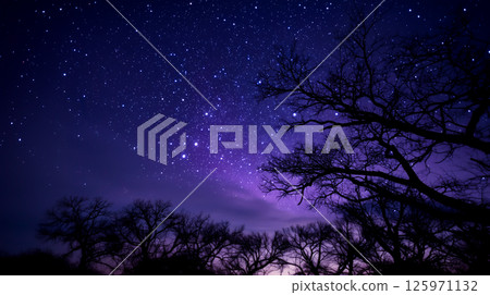 Starry purple night sky above silhouetted forest trees Starry purple night sky above silhouetted forest trees 125971132