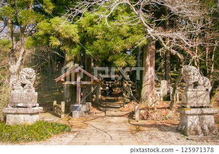 Torii gate and lion dogs at Shirakawa Shrine 125971378