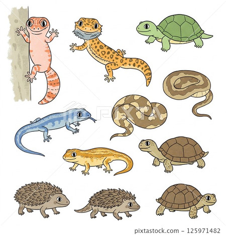 可愛的爬行動物和兩棲動物角色集 - 適用於教育材料、SNS 和商業用途 可愛的爬行動物和兩棲動物角色集 - 適用於教育材料、SNS 和商業用途 125971482
