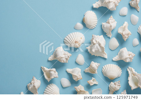 Banner with white seashells on light blue background. Place for your text. Banner with white seashells on light blue background. Place for your text. 125971749