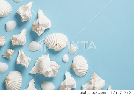 Card with white seashells on a light blue background. Space for your text. Card with white seashells on a light blue background. Space for your text. 125971750