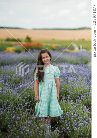 A little girl in a lavender field. A little girl in a lavender field. 125971877