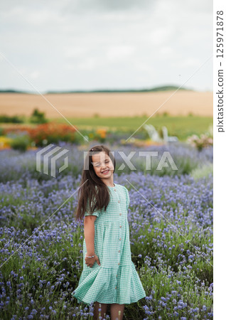 A little girl in a lavender field. A little girl in a lavender field. 125971878