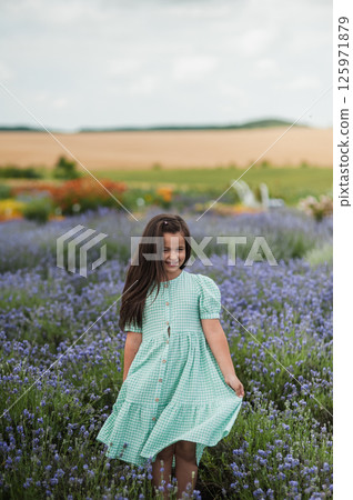 A little girl in a lavender field. A little girl in a lavender field. 125971879