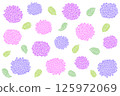 Hand-drawn hydrangea pattern 125972069