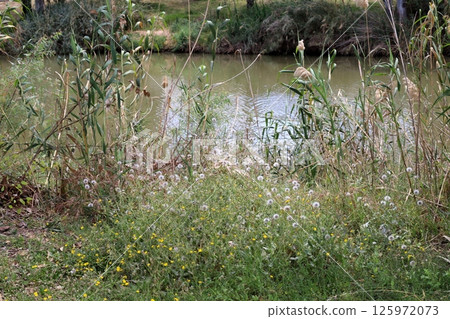 The Yarkon River flows through the center of Tel Aviv. 125972073