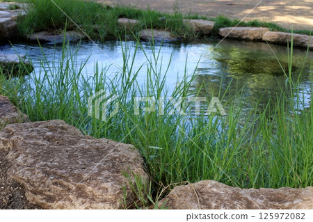 The Yarkon River flows through the center of Tel Aviv. 125972082