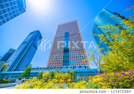 Tokyo cityscape in Japan, overlooking the Shiodome business district and the Yurikamome line 125972084