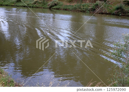 The Yarkon River flows through the center of Tel Aviv. 125972090