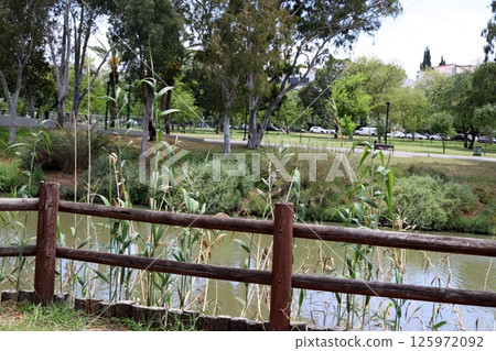 The Yarkon River flows through the center of Tel Aviv. The Yarkon River flows through the center of Tel Aviv. 125972092