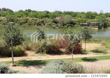The Yarkon River flows through the center of Tel Aviv. 125972093