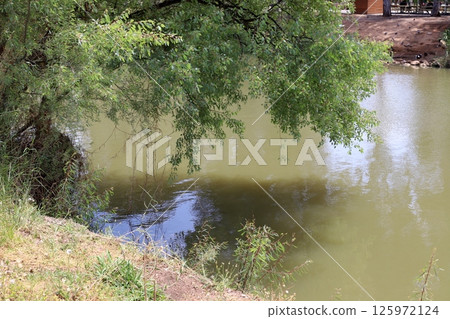 The Yarkon River flows through the center of Tel Aviv. The Yarkon River flows through the center of Tel Aviv. 125972124