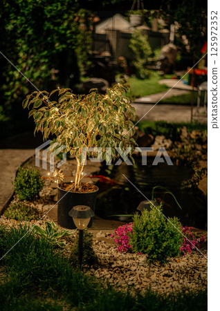 Small Solar Garden Light, Lanterns In Flower Bed. Garden Design. Solar Powered Lamp Small Solar Garden Light, Lanterns In Flower Bed. Garden Design. Solar Powered Lamp 125972352