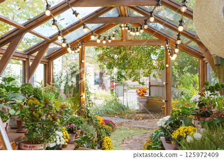 Beautiful wooden greenhouse filled with plants and flowers in lush garden setting 125972409