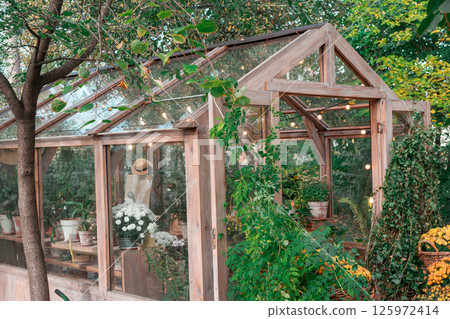 Beautiful wooden greenhouse filled with plants and flowers in lush garden setting Beautiful wooden greenhouse filled with plants and flowers in lush garden setting 125972414