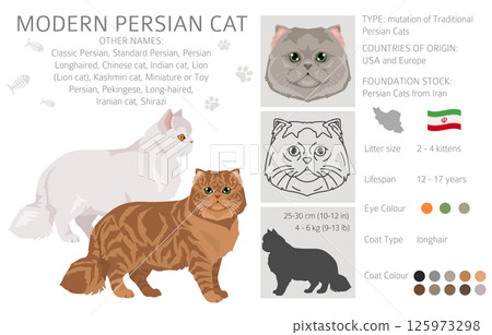 Persian Cat longhaired clipart. Modern type persian cat. All coat colors set. All cat breeds characteristics infographic Persian Cat longhaired clipart. Modern type persian cat. All coat colors set. All cat breeds characteristics infographic 125973298