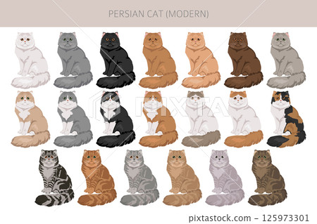 Persian Cat longhaired clipart. Modern type persian cat. All coat colors set. All cat breeds characteristics infographic Persian Cat longhaired clipart. Modern type persian cat. All coat colors set. All cat breeds characteristics infographic 125973301