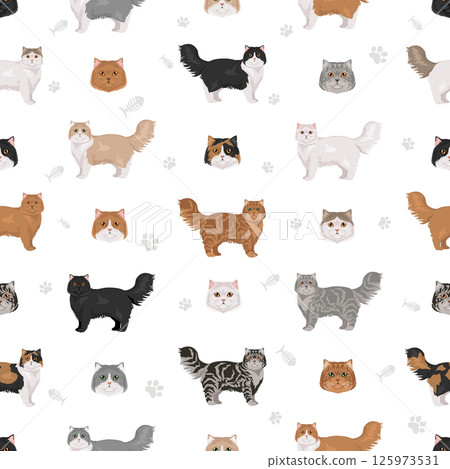 Persian Cat longhaired clipart. Traditional classic type persian cat. All coat colors set.  All cat breeds characteristics infographic 125973531