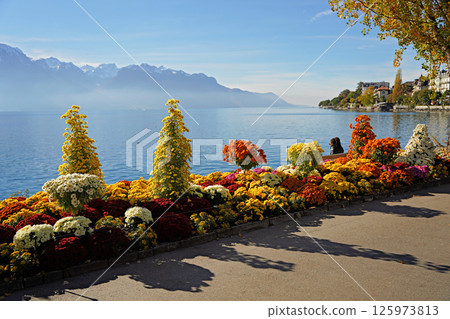 Switzerland,, Montreux lake and mountain views. The most beautiful view Switzerland,, Montreux lake and mountain views. The most beautiful view 125973813