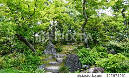 Stones surrounded by fresh greenery 125973961