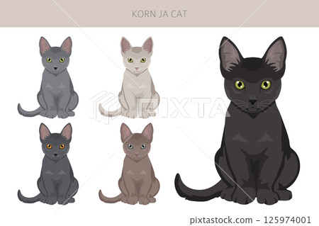 Korn Ja Cat clipart. All coat colors set. All cat breeds characteristics infographic Korn Ja Cat clipart. All coat colors set. All cat breeds characteristics infographic 125974001