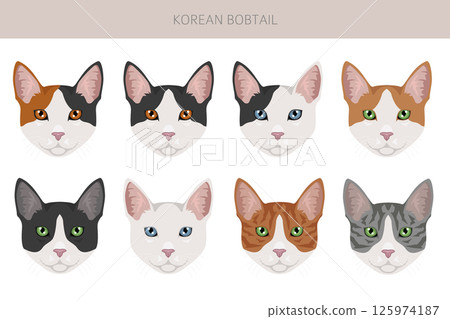 Korean Bobtail Cat clipart. All coat colors set.  All cat breeds characteristics infographi 125974187