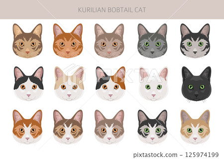 Kurilian Bobtail Cat clipart. All coat colors set.  All cat breeds characteristics infographic 125974199