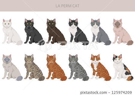 La Perm Cat clipart. All coat colors set.  All cat breeds characteristics infographic 125974209