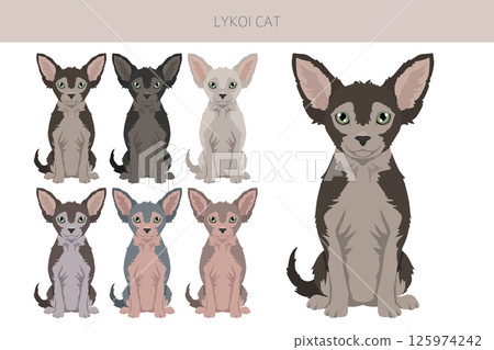 Lykoi Cat clipart. All coat colors set. All cat breeds characteristics infographic Lykoi Cat clipart. All coat colors set. All cat breeds characteristics infographic 125974242